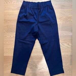 Ann Taylor Women’s Navy Dress Pants Size Large